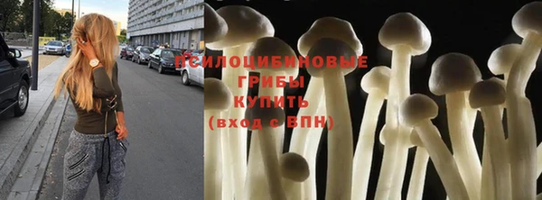 круглые Алзамай
