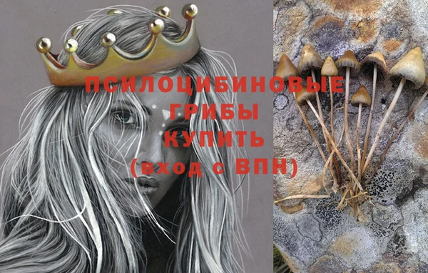 кокс Алексин