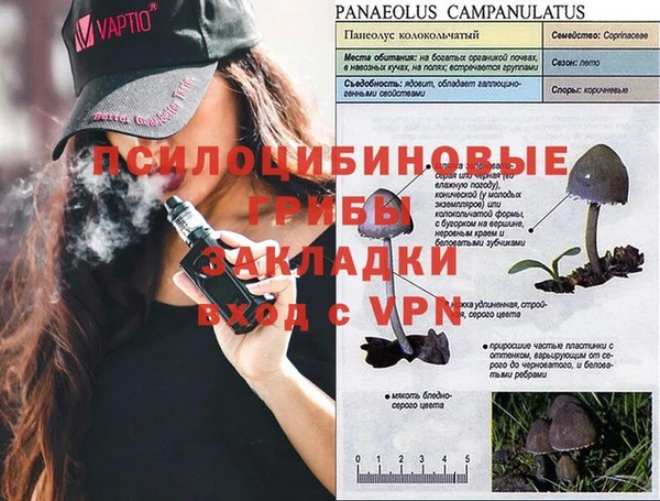 твердый Осинники
